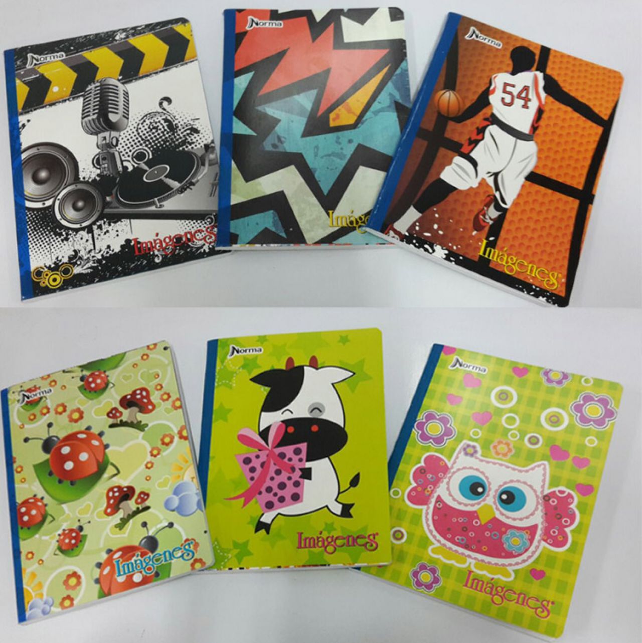 cuadernos cosidos norma x 100